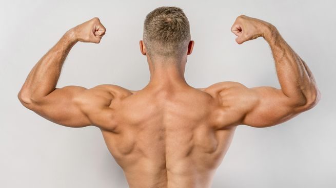 Anapolon 50mg: Auswirkungen und Risiken im Fokus der Gesundheitsbehörden Anapolon 50mg: Auswirkungen und Risiken im Fokus der Gesundheitsbehörden
