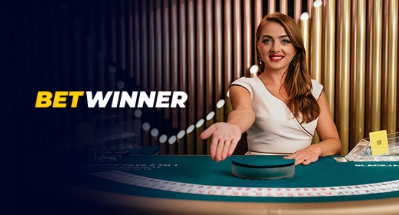 Explore the Benefits of the 1Win Partner Program Explore the Benefits of the 1Win Partner Program